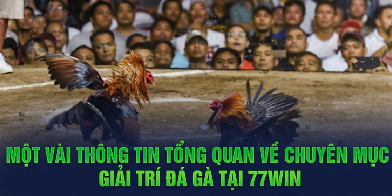 Toàn bộ quy trình tham gia soi kèo đá gà cho bạn mới