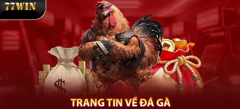 Trang tin tức 77WIN cực hữu ích cho kê thủ